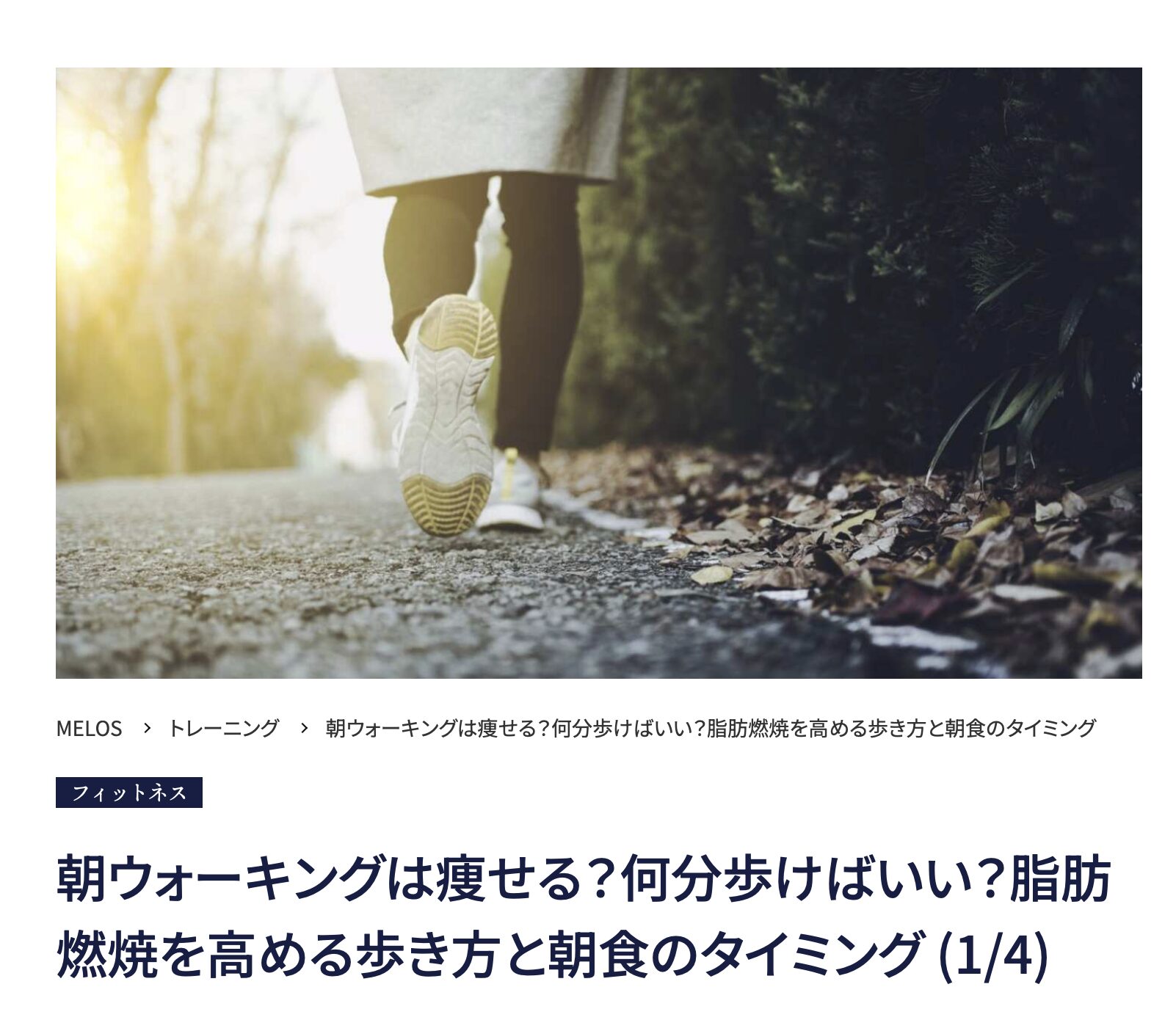 理学療法士が解説する朝ウォーキングの脂肪燃焼効果とダイエット方法・大手メディアMELOS監修記事・帯広のパーソナルトレーニングジムJuntos