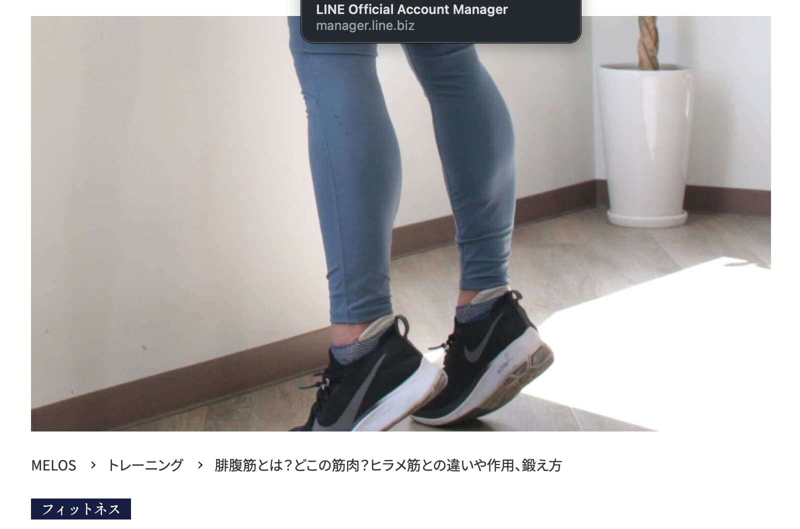 大手メディアMELOS監修記事「腓腹筋とヒラメ筋の違い」を理学療法士が解説。